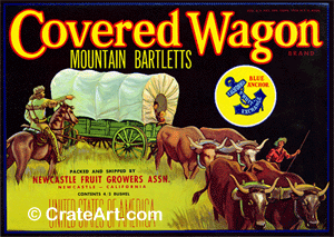 COVERED WAGON (P) #3