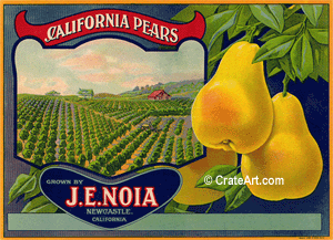 CALIFORNIA PEARS (P)