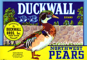 DUCKWALL (P) #1