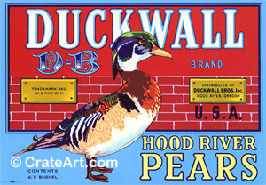 DUCKWALL (P) #3