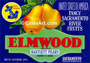 ELMWOOD (P)