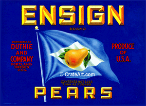 ENSIGN (P) #4