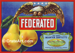 FEDERATED (P)