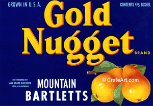 GOLD NUGGET (P)