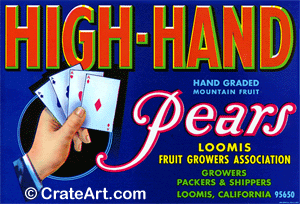 HIGH-HAND (P) #3