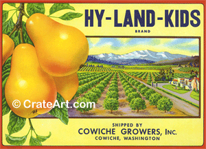 HY-LAND-KIDS (P)