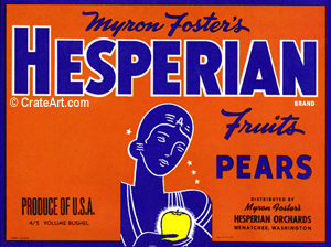 HESPERIAN (P)