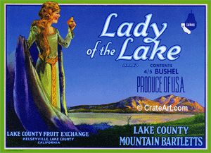 LADY OF THE LAKE (P)