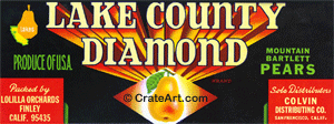 LAKE COUNTY DIAMOND (PL)