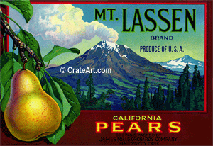 MT. LASSEN (P)