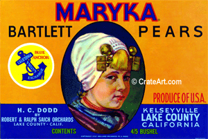 MARYKA (P)