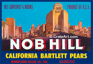 NOB HILL (P) #2