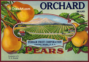 ORCHARD (P) #1