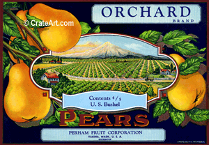 ORCHARD (P) #2