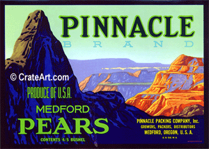 PINNACLE (P)