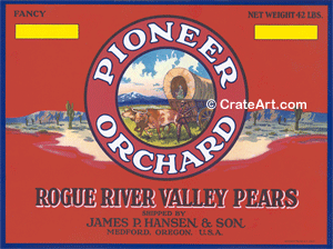 PIONEER ORCHARD (P) #2