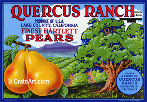 QUERCUS RANCH (P) #2