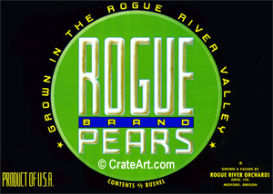 ROGUE (P)