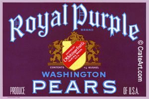 ROYAL PURPLE (P)