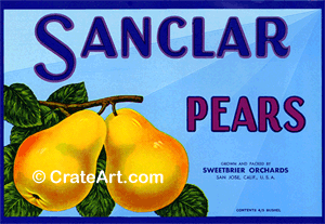 SANCLAR (P)