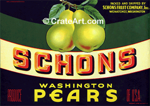 SCHONS (P)