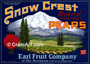 SNOW CREST (P) #1