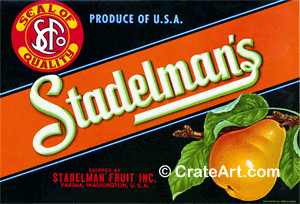 STADELMAN'S (P)