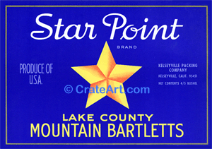 STAR POINT (P) #1