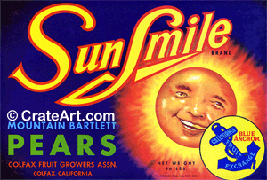 SUN SMILE (P) #1