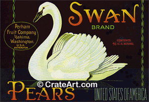 SWAN (P)