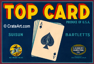 TOP CARD (P)