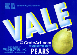 VALE (P)