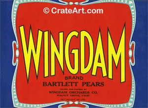 WINGDAM (P)