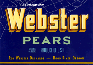 WEBSTER (P)