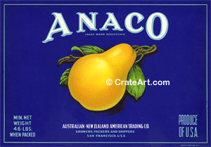 ANACO (P) #1