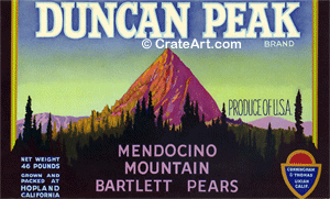 DUNCAN PEAK (P)