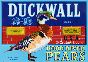 DUCKWALL (P) #2