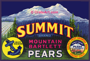 SUMMIT (P) #1