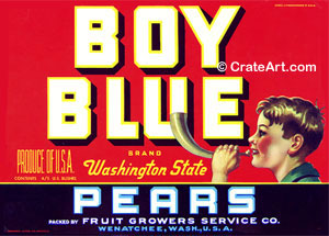 BOY BLUE (P) #2