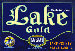 LAKE GOLD (P)