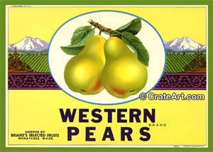 WESTERN PEARS (P)