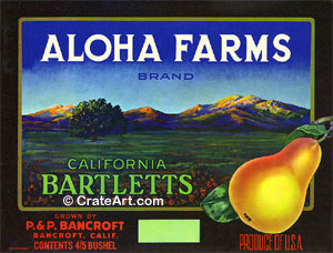 ALOHA FARMS (P)