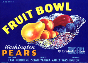 FRUIT BOWL (P)