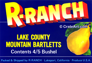 R-RANCH (P)