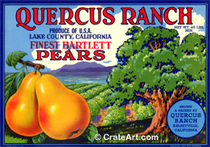 QUERCUS RANCH (P) #1