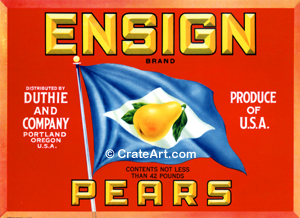 ENSIGN (P) #3