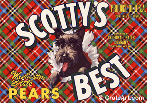 SCOTTY'S BEST (P)