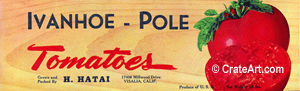 IVANHOE-POLE (T)