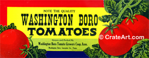 WASHINGTON BORO (T)