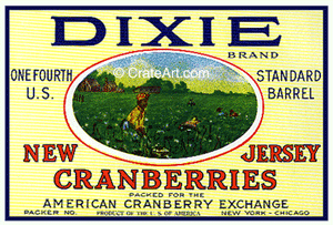 DIXIE (C) #1